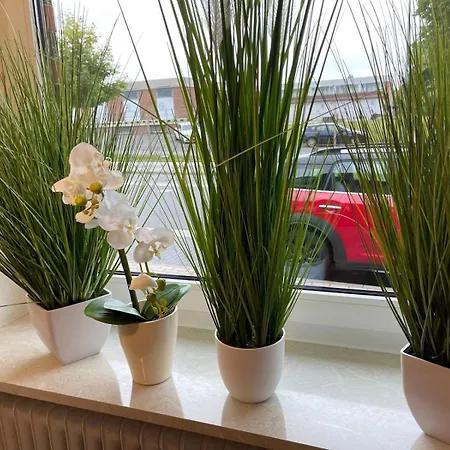 Vital Lueneburger Heide Hotel 4*